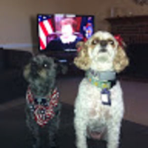 Meet your Posher, Tammy